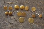 22K Gold Dotted Studs -5 mm Tiny Earrings - hummered stud Earrings- Minimalist Jewelry- Wedding Earrings-mother day gift - solid gold