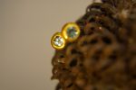solid 24k gold//blue topaz Earrings//24k gold Studs// 24k gold earrings//blue topaz earrings// 24k gold with stone//solid gold studs
