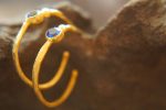 sapphire gold hoop earring//gold hoop earring//24k gold jewelry//handmade artisan hoop earring//artisan fine gold hoops//unique rustic hoop