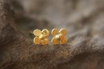 24k gold flower studs//classic gold studs//hammered gold studs//artisan gold studs//flower gold earrings//solid gold studs